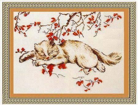 cat-zzz